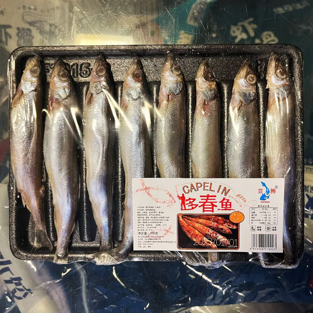 多春鱼满籽新鲜人吃商用多籽鱼冷多春鱼（新）