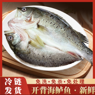 开背海鲈鱼新鲜冷冻深海鱼七星鱼三去卢鱼海鲜水产烤鱼半成品商用