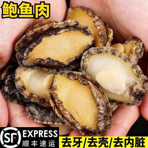鲜冻九孔鲍鱼肉3头鲍鱼手剥纯肉10颗左右约520克-540克之间每包