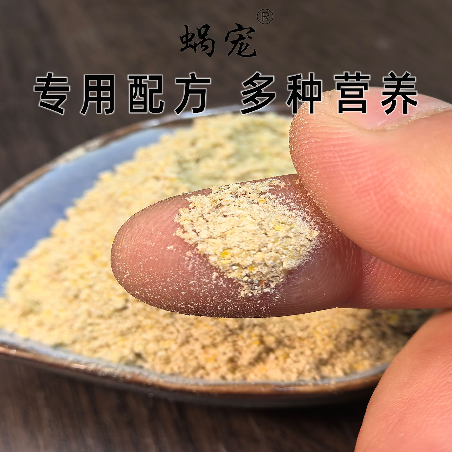 白玉蜗牛饲料宠物蜗牛食物蜗牛粮粉末饲料精饲料大小蜗牛吃的营养