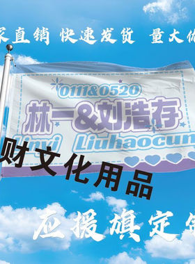 林一刘浩存组合大旗定制彩旗红旗户外演唱会应援旗制做音乐节旗帜
