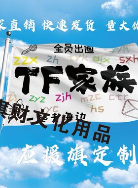 TF家族应援大旗明星户外演唱会手持TF应援旗三代音乐节大旗定制