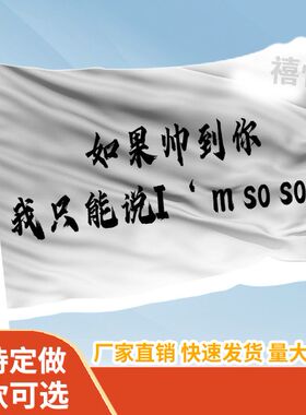 如果帅到你我只能说I'm so sorry旗帜定做登山旅行爬山旗子可签名