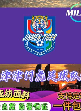 天津津门虎足球队旗定制 中超联赛旗帜 天津队 比赛活动助威旗