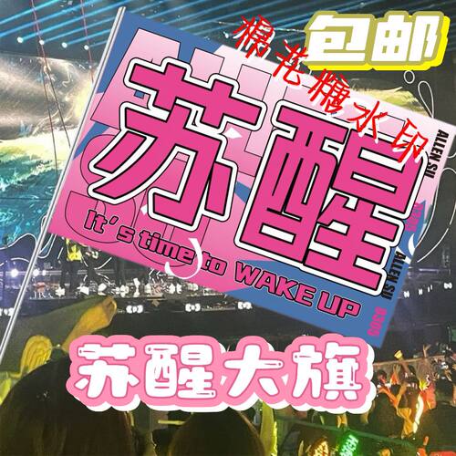 苏醒应援大旗明星演唱会手持大旗户外歌手音乐节应援旗定制队旗