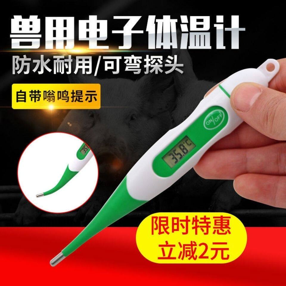 猪场兽用电子体温计 猪用体温计工具温表高精度测温仪宠物温度计