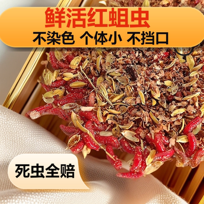 【死虫包赔】鲜活红蛆虫小个体活饵  鲫鱼鲤鱼马口野钓鱼饵料溪流