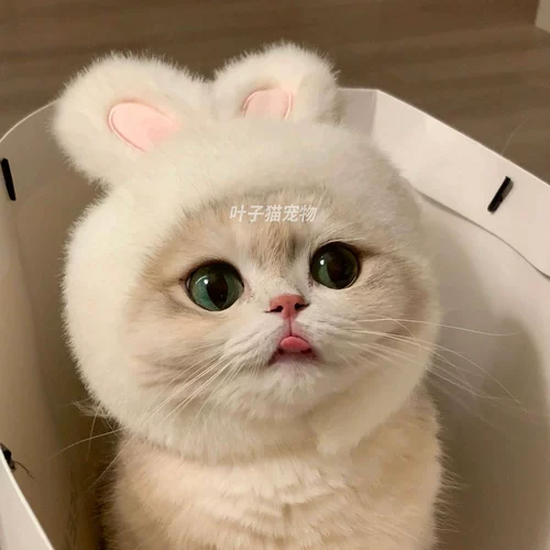 Повязка на голову для домашних животных, шапка с кроличьими ушками, интернет-знаменитости кошек и собак, шапка с кроличьими ушками в том же стиле, можно использовать в качестве фотоаксессуара.