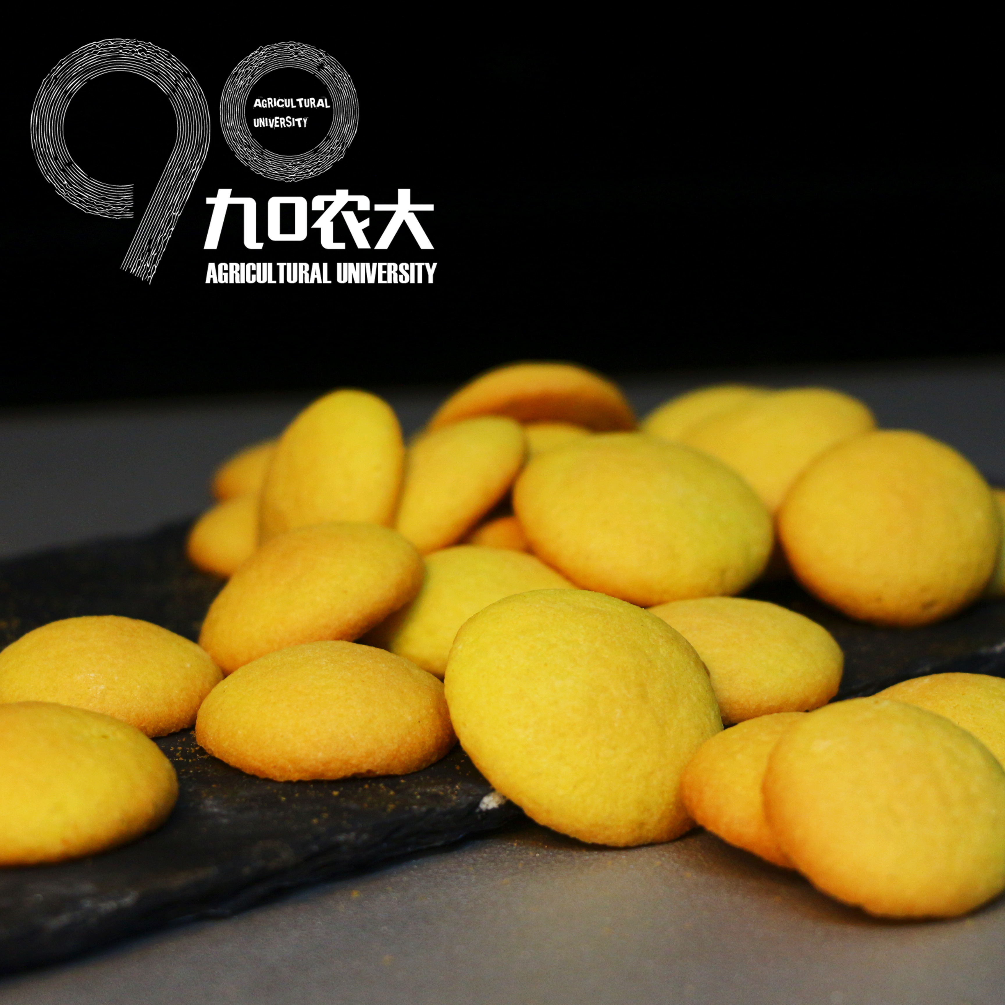 九0农大蛋黄片500g一盒