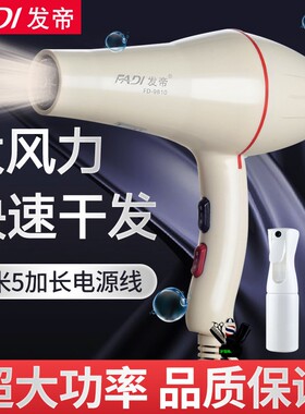 发帝FD-9810大功率发廊专用吹风