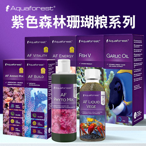 波兰紫色森林珊瑚粮sps软体