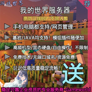 我的世界服务器Minecraft服务器MC服务器开服出租用多线流畅稳定