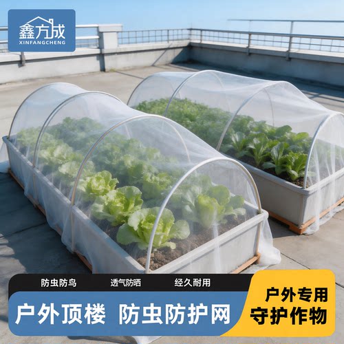 防虫网种菜专用抗老化