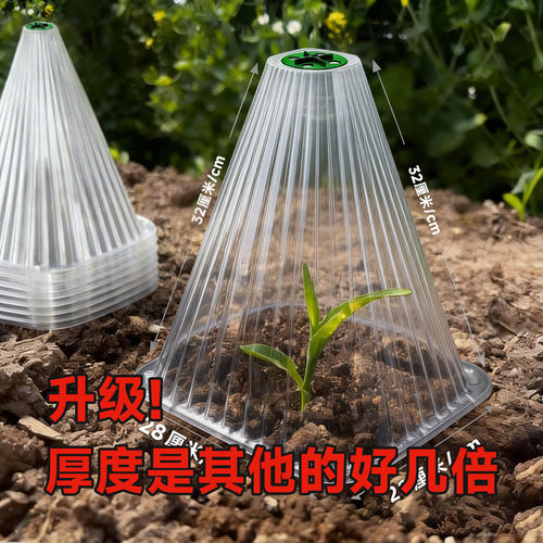 育苗保护罩蔬菜植物罩