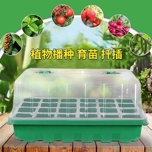 高盖发芽箱大号育苗箱种植培育箱花盆透气孔育苗高盖园艺育苗专用