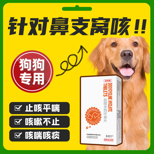 宠物盐酸多西环素打喷嚏鼻支治疗