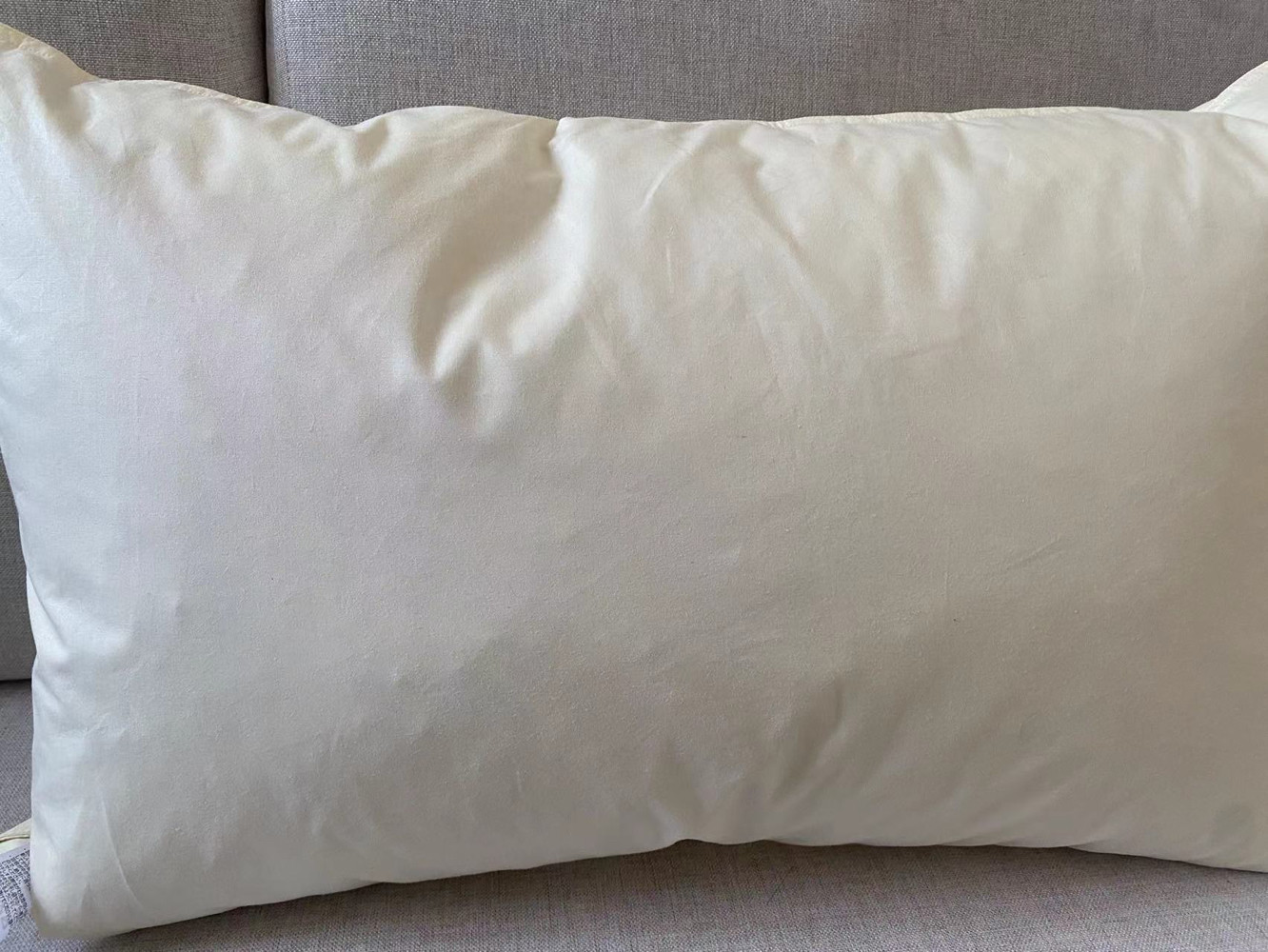 高品质日本品牌枕头羽毛枕头枕芯低枕软枕1000g适合40*60枕套,床上用品,枕头/枕芯,淘宝优惠券,粉丝福利购,淘宝优惠卷