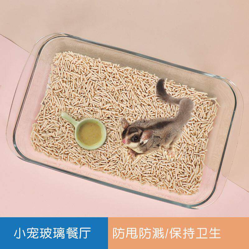 蜜袋鼯刺猬厕所大号玻璃便盘烤盘花枝鼠仓鼠尿砂盆用品不易打翻
