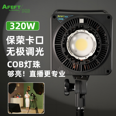 傲法特300W双色直播补光灯