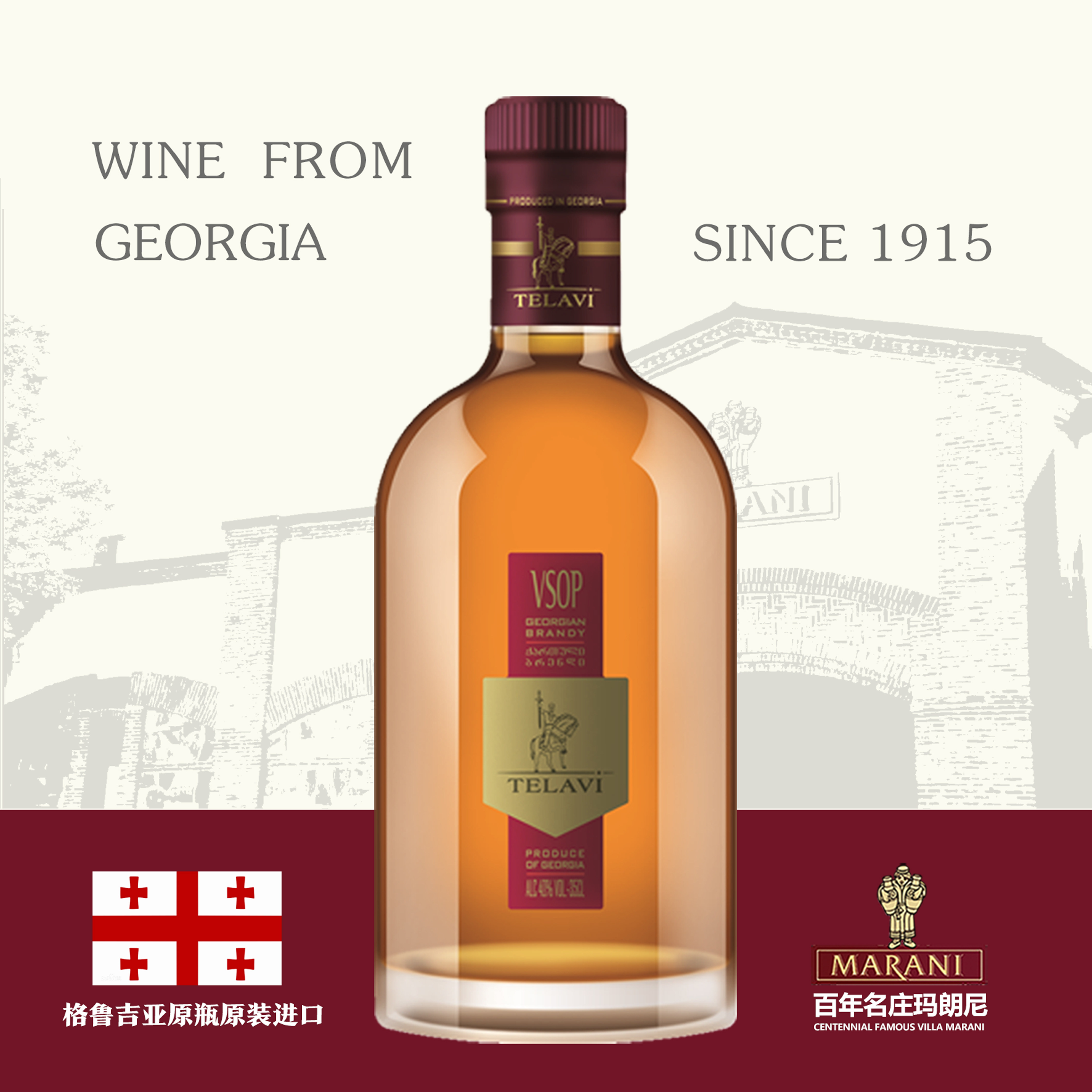 原瓶进口白兰地特拉维vsop