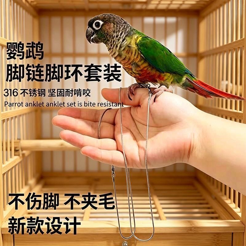 不锈钢鹦鹉脚链栓鸟遛鸟放飞绳合金脚环蛇骨绳牡丹玄凤脚环链子