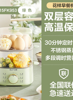 家用防干烧断电小型早餐机温泉蛋