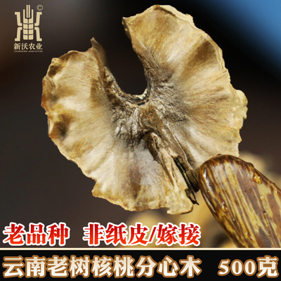 云南无量山核桃分心木500克