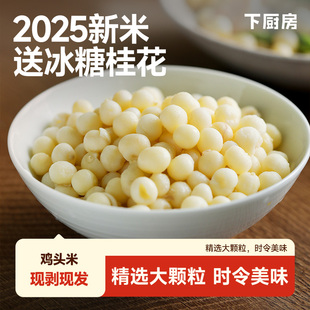 下厨房2025新鲜芡实鸡头米人工挑选独立小包装颗粒饱满