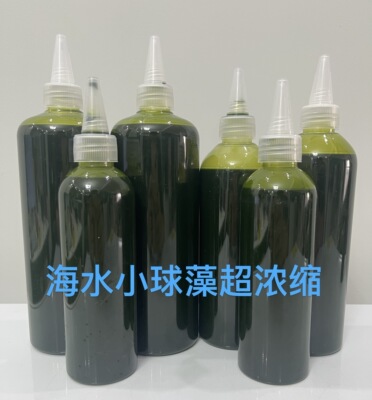 包邮海水小球藻海水轮虫饲料小球藻营养液小丑鱼繁殖专用开口饵料