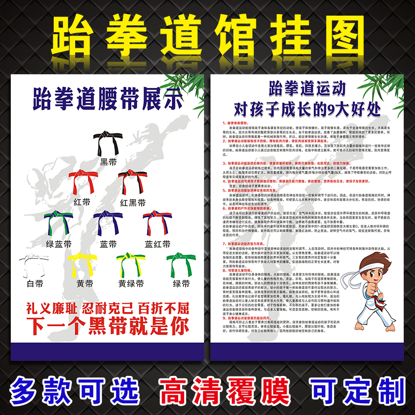 新款跆拳道道馆文化墙装饰墙贴培训班教室标语考级内容布置海报贴纸画彩色腰带级别励志装饰背景墙自粘立体图片