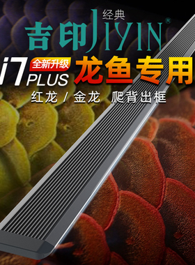 吉印i7 PLUS龙鱼观赏专用灯红龙鱼烤色发色灯金龙鱼增艳增色LED灯