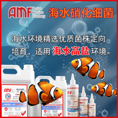 AMF硝化细菌快速净水打造空气缸