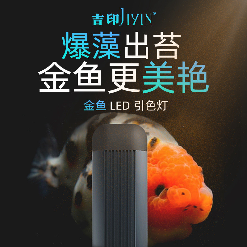 吉印金鱼缸爆藻灯全光谱鱼缸灯图片