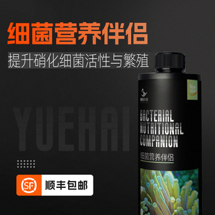 粤海珊瑚菌粮海缸菌种硝化细菌饲料降解氨氮亚硝酸盐细菌营养伴侣
