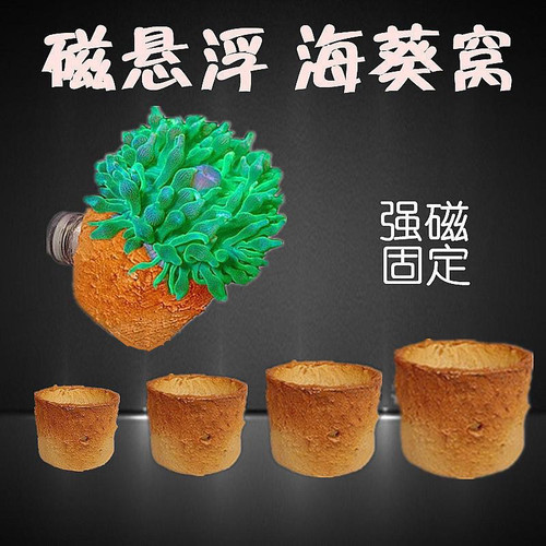 磁吸悬浮葵巢奶嘴杯防跑珊瑚罐子海水鱼缸专用造景装饰海葵窝固定 - 封面