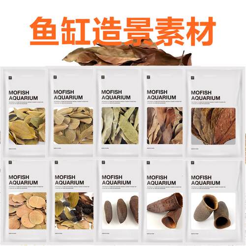 墨鱼自然风干天然沉叶果壳造景