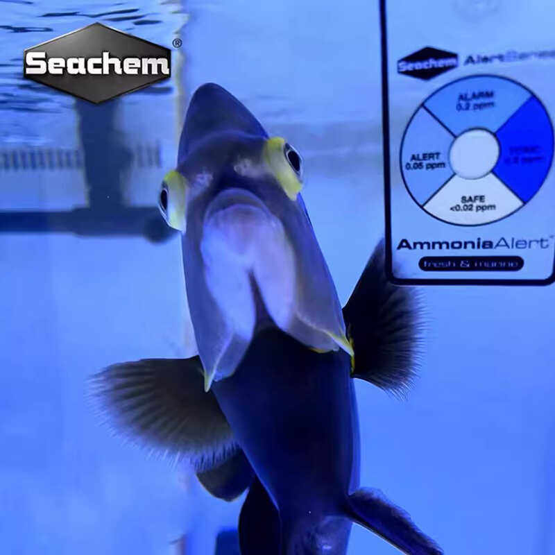 美国Seachem海化淡海水鱼缸水质监测卡氨NH3含量警报卡阿摩尼亚卡,宠物/宠物食品及用品,其它水族用具设备,淘宝优惠券,粉丝福利购,淘宝优惠卷