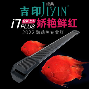 吉印i7 PLUS鹦鹉鱼专用灯血鹦鹉定制光谱增色发红防水防潮增艳灯