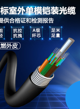 华菱昌盛 国标室外单模铠装光缆线4芯6芯8芯12芯24芯48芯72芯144芯光纤线层绞式架空直埋式光缆电信级GYTS/TA