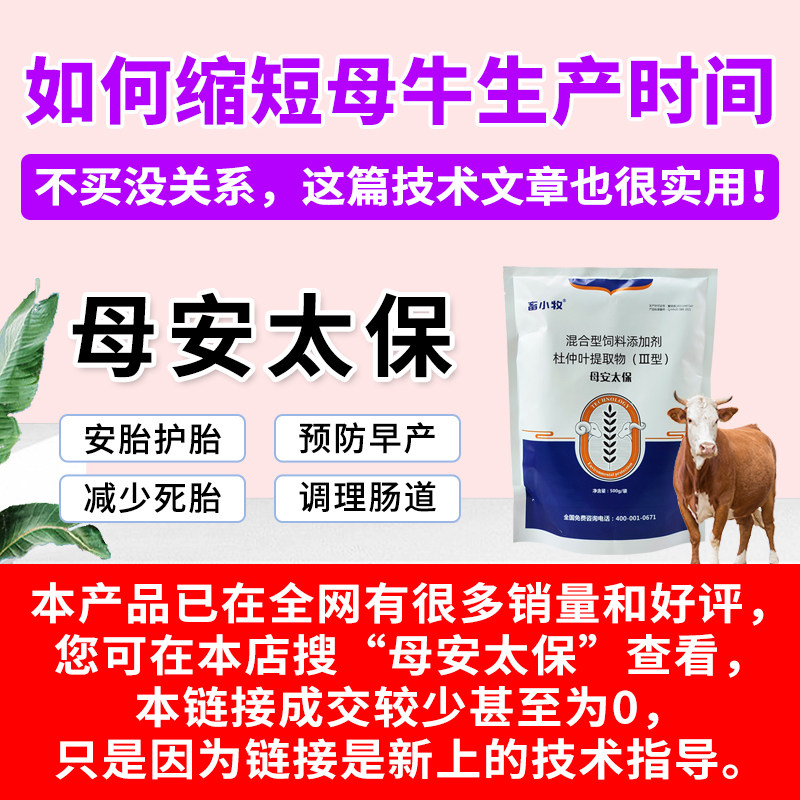 如何缩短母牛生产时间