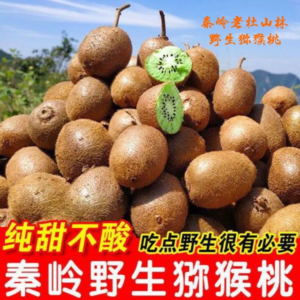 秦岭无公害有机精选野生猕猴桃孕妇应季营养丰富水果