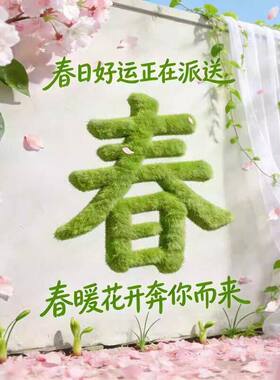 春日好运毛绒字体定制商场店铺橱窗美陈装饰摆件景区春季主题字体