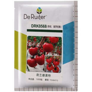 圣尼斯普罗旺斯网红番茄种子1000粒装 口感番茄抗病性 DRK0568经典