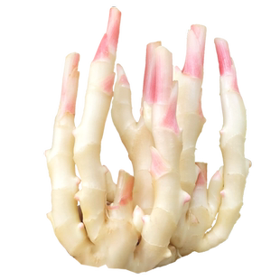 正宗四川新鲜红芽嫩姜嫩仔姜生姜泡菜姜鲜姜乐山竹根姜生姜鲜子姜