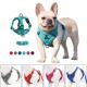 Medium Brea Harness Set for Leash Dog and Dogs Small Pull