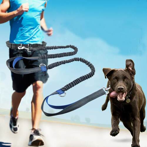 Dog Running Comfortable Leashes Dog Accessories Leash For Do
