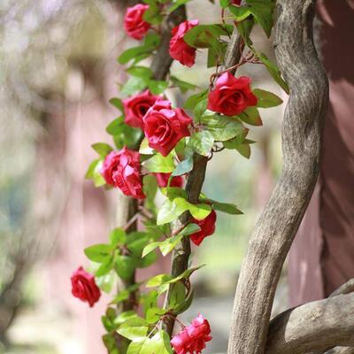 2m Artificial Flowers Rose Ivy Vine Wedding Decoration Real