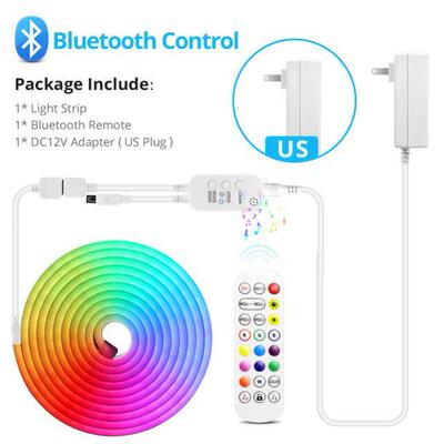 12V LED Strip Neon Lights Tuya Smart Life WiFi Bluetooth RGB