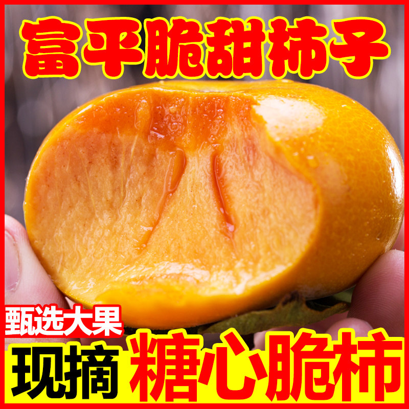 陕西富平巧克力脆柿子新鲜水果当季脆皮特大脆甜柿子脆柿太秋甜柿