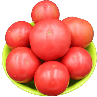 内蒙古五原草莓西红柿蔬菜新鲜番茄水果生吃自然熟西红柿沙瓤包邮